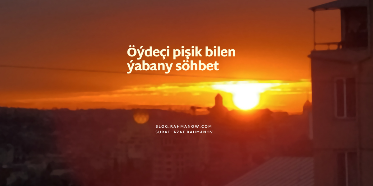 Öýdeçi pişik bilen ýabany söhbet